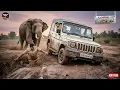 Lagu जंगल में पुलिस की मुश्किल मिशन से लोठते पुलिस की गाड़ी कीचड़ में धँसी… और पीछे से आता हाथी Crime Pat