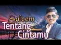 Download Lagu SALEEM - Tentang Cintamu | Video Lirik