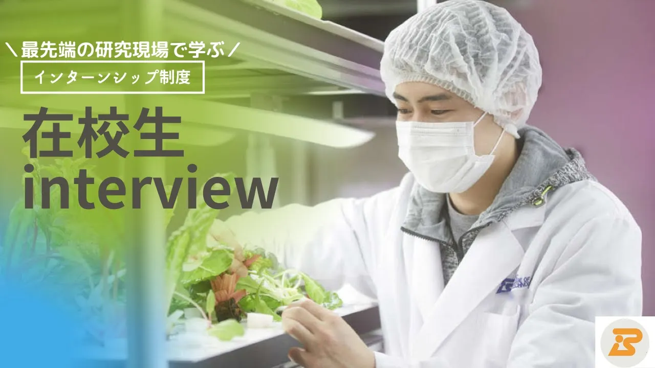 What's インターンシップ？/在校生インタビュー
