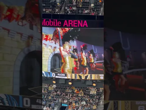 Las Vegas Golden Knights game 😝😝