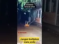 Download Lagu NGERI ENERGINYA KUAT BANGET❗️SETAN-NYA NGAMUK C0K😱 #trending #shorts #kuntilanak #creepy #horror