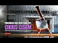 Lagu Burung Ciblek SEMI Gacor NGEBREN Untuk Pancingan Ciblek dan MASTERAN BURUNG Kesayangan Anda