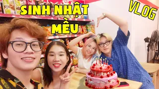 HIRO BẤT NGỜ TẶNG QUÀ SINH NHẬT CHO MỀU NGOÀI ĐỜI THẬT*RYMEE PHÁT HỆN MỀU BỊ REDHOOD TÁC ĐỘNG VẬT LÝ