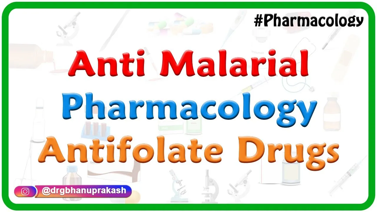 Anti malarial Pharmacology - Antifolate Drugs - Dr Rajesh Gubba