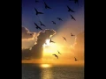 GERALD ALBRIGHT feat MICHAEL McDONALD  🎧  Lovely Day