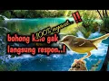 Download Lagu pancingan suara ciblek malam hari,auto bikin ciblek manapun nyaut...!!!
