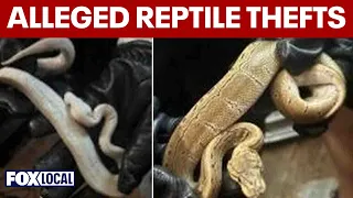 3 charged in organized reptile thefts across Fairfax County police say