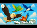 Download Lagu Why Birds Can Fly (and Some Can’t!) | Kids Science Video | Smartie the Alpaca