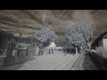 Adobe Premiere Elements 2018 Tutorial - Processing Standard IR 720nm
