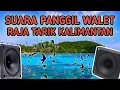 Download Lagu SUARA PANGGIL WALET - RAJA TARIK KALIMANTAN