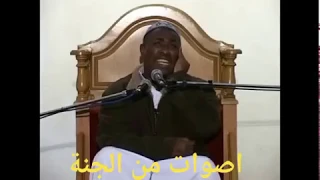 قارئ من جنوب افريقيا يقلد الشيخ محمد صديق المنشاوى صوت من السماء 