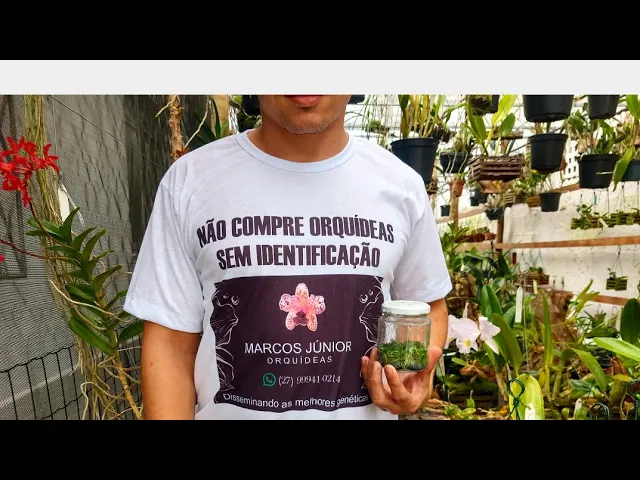 ADUBAÇÃO DE ORQUÍDEAS NO INVERNO
