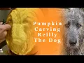 AMAZING PUMPKIN CARVING Reilly Dog The Dog - Montage