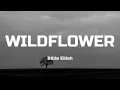 Billie Eilish - WILDFLOWER (Lyrics)