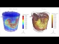 Ansys CFX Simulation Stirred Tank with Heat Pipe Rotate view