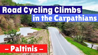 road cycling the carpathian mountains the paltinis climb near sibiu city cycling in romania 