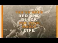 Conner Smith - Orange And White (Lyric Video)