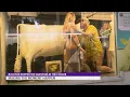 Iowa couple gets engaged in front of butter cow at Iowa State Fair