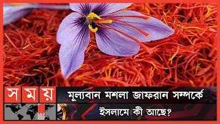 Download ১ কেজি জাফরানের দাম ৪ থেকে ৫ লাখ টাকা কেন  | Saffron | Why Saffron is So Expensive | Somoy TV MP3