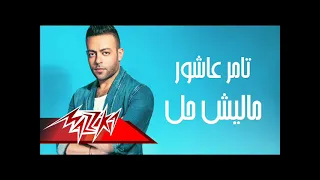 تامر عاشور مليش حل دندنها