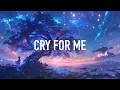 Download Lagu HAPPER \u0026 Clear Sky - Cry For Me (Lyrics)