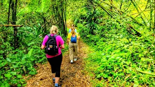Unforgettable Volcano Hiking Experience||Big landslide #travel #stvincent