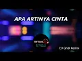 Download Lagu APA ARTINYA CINTA REMIX
