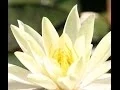 Best Massage in Tulsa County 918-779-1291 Therapeutic Massage in Tulsa County Brent W