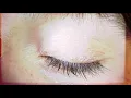 Pieta Brown, William Brittelle - We Are Not Machines, Meta Version (official video)
