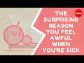 Download Lagu The surprising reason you feel awful when you're sick - Marco A. Sotomayor