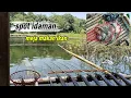 Lagu Mancing cirata terbaru 2025 // spot andalan taman bermain ikan (joran lentud) 
