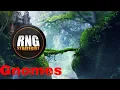 The Complete Strategist s Guide to Pathfinder 2E - Gnomes