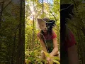 rawr forest #otherhearted #notatherian #theriancommunity #quads #forest #nature #pretty #fyp