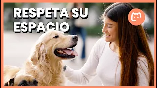 ¿Tu perro no quiere saludar a todo el mundo? NO le obligues, esto es lo que necesitas saber 🐶👀