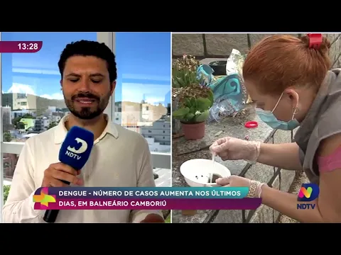 Números de casos de dengue aumentam em Itajaí e Balneário Camboriú