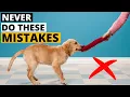 WORST Mistakes I Made Raising my First Golden Retriever
