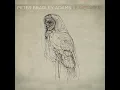 The Longer I Run by Peter Bradley Adams
