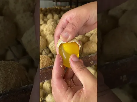 🥰 Satisfying with delicious food 🥳 #shorts #streetfood #satisfying