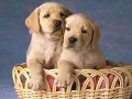 It takes two-Marvin Gaye & Kim Weston