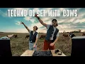 Download Lagu 20 COWS, 2 IPHONES, 1 DJ CONTROLLER [TECHNO DJ SET IN THE FIELD]