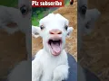 Download Lagu Bakri mai main #shorts #viral #youtube