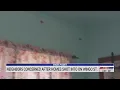 High Point neighbors concerned after homes shot into on Wingo Street