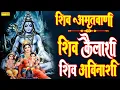 शिव अमृतवाणी :- शिव कैलासी,शिव अविनासी | Jyoti Tiwari | Shiv Amritwani | Shiv Bhajan | Shiv Chalisa