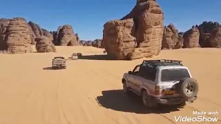 الشاب نذير البسكري شالوها ماودعتني 