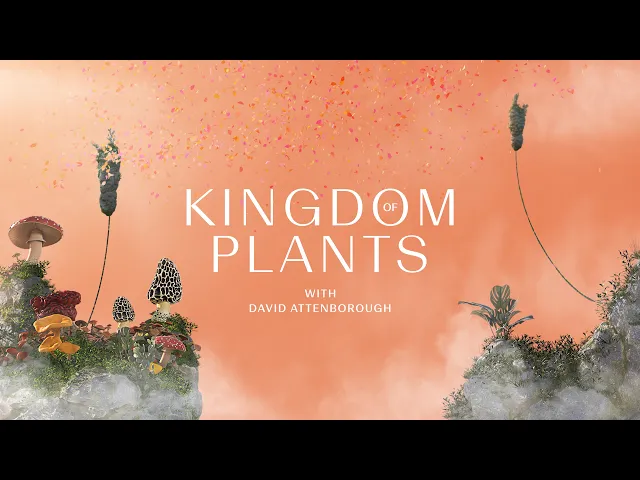 Kingdom of Plants with David Attenborough VR | Official Trailer 2022