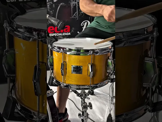 Caixa Hardbeat 100% Maple Premium 12x7