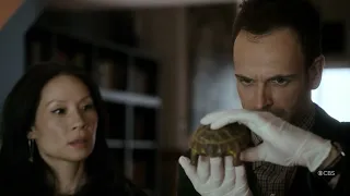 Clyde the Tortoise compilation CBS Elementary