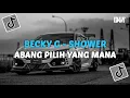 Download Lagu DJ BECKY G SHOWER X ABANG PILIH YANG MANA BY DJ DANVATA VIRAL TIKTOK