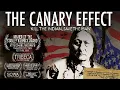 Download Lagu The Canary Effect (Documentary)