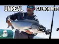 INCREDIBLE Lake Ontario Salmon Fishing - Salmon Trolling Tips Tricks